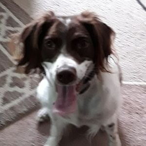 Meet your Posher, Jacqueline